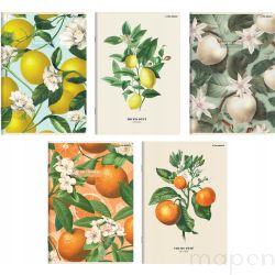 Zeszyt szkolny w kratkę A5/60 kartek TOP-2000 owoce