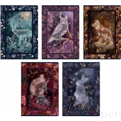 Zeszyt szkolny w kratkę A5/60 kartek TOP-2000 FAIRYTALE