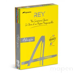 Papier ksero REY ADAGIO, A4, 80gsm, mix kolorów intens, R200, 5x100 ark.