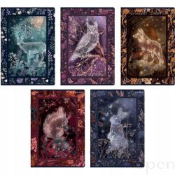 Zeszyt szkolny w kratkę A5 TOP-2000 32 kartek FAIRYTALE mix