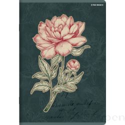 Zeszyt szkolny w linię A5 TOP-2000 32 kartek Kwiaty